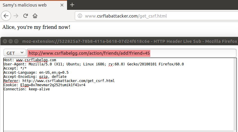 image-20240619224818367