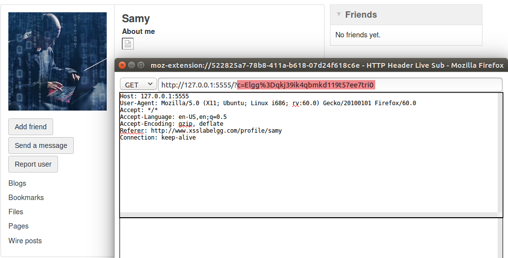 image-20240621103053599