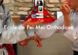 Le dernier défi