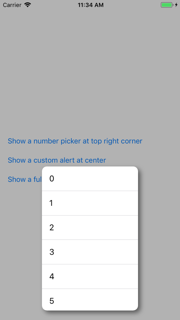 Custom picker at bottom