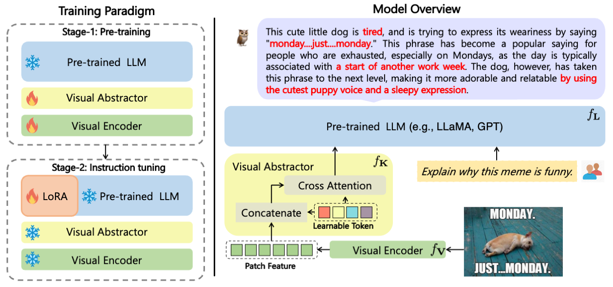 Training paradigm and model overview