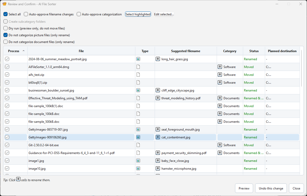 AI File Sorter review and confirm results with mixed file types on Windows