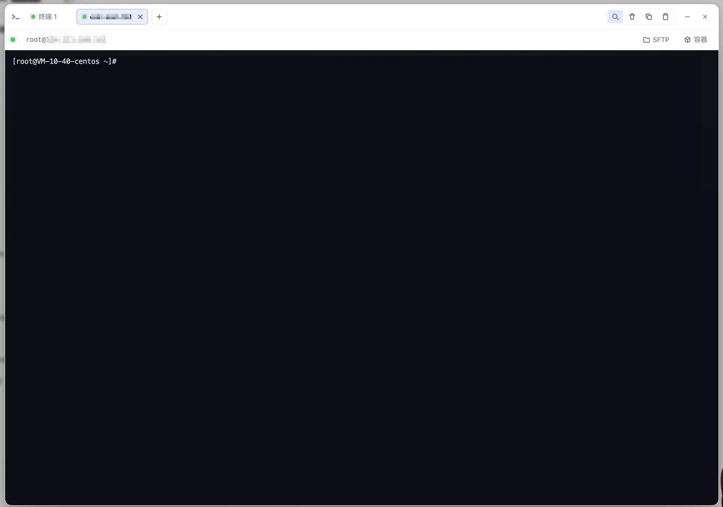 终端面板：侧边栏入口打开 xterm.js 多标签终端