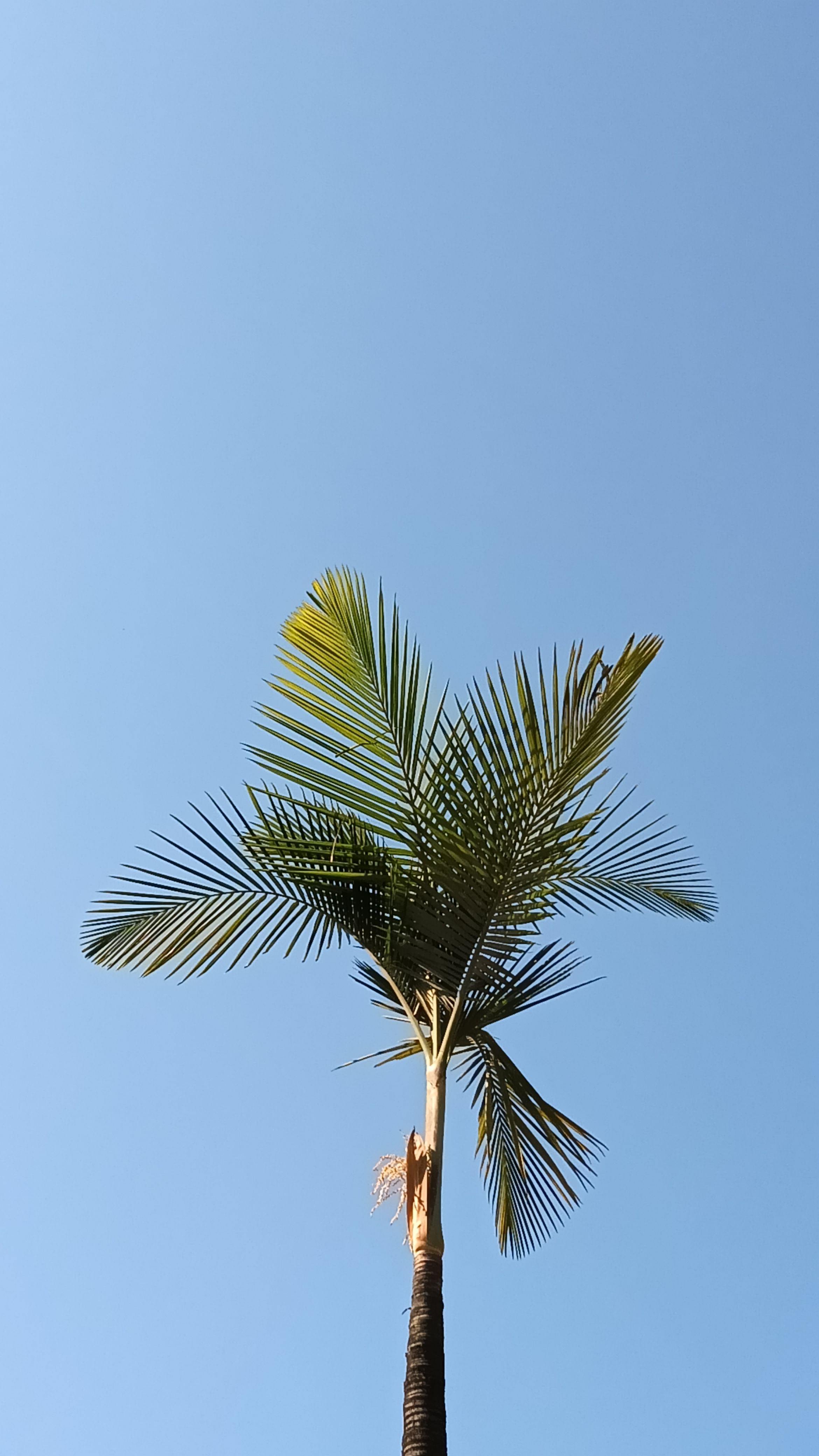 IMG20241221133444.jpg