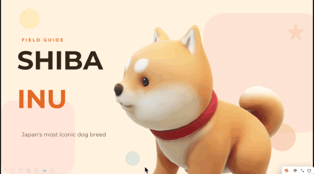assets/shiba.gif