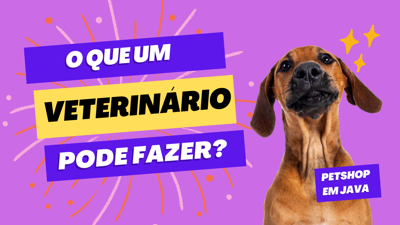 Execução veterinário