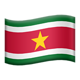🇸🇷