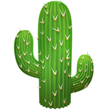 🌵