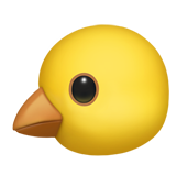 🐤