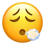 Face Exhaling on Apple