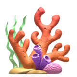 Coral on Apple