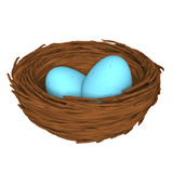 Nest With Eggs on Apple