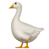 Goose on Apple