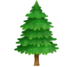 Evergreen Tree on Facebook