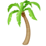 Palm Tree on Facebook