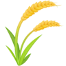 Ear Of Rice on Facebook