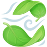 Leaf Fluttering In Wind on Facebook