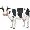 Cow on Facebook