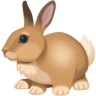 Rabbit on Facebook