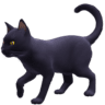 Black Cat on Facebook
