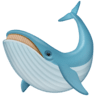 Whale on Facebook