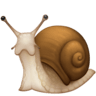Snail on Facebook