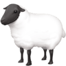 Sheep on Facebook
