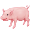 Pig on Facebook