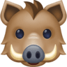 Boar on Facebook