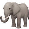Elephant on Facebook