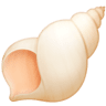 Spiral Shell on Facebook