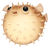 Blowfish on Facebook