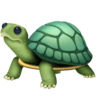 Turtle on Facebook