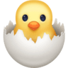 Hatching Chick on Facebook