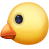 Baby Chick on Facebook