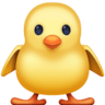 Front-facing Baby Chick on Facebook