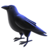 Black Bird on Facebook