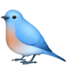 Bird on Facebook