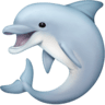Dolphin on Facebook