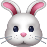 Rabbit Face on Facebook