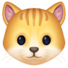Cat Face on Facebook