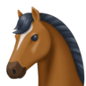 Horse Face on Facebook