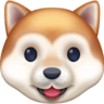 Dog Face on Facebook