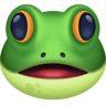 Frog Face on Facebook