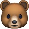 Bear Face on Facebook