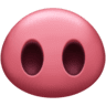 Pig Nose on Facebook