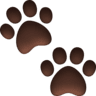 Paw Prints on Facebook