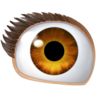 Eye on Facebook