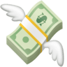 Money With Wings on Facebook